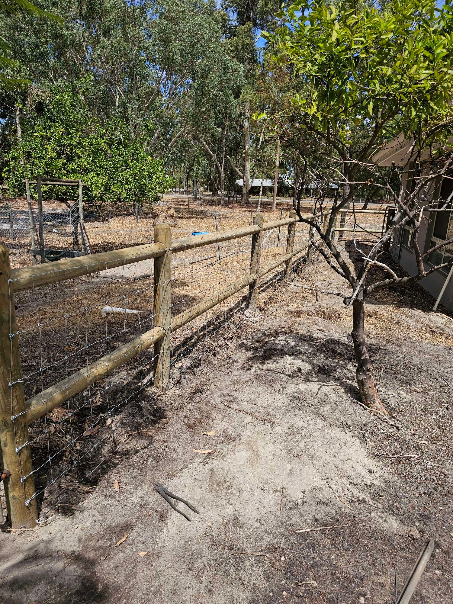 Timber post-and-rail rural fence with wire mesh infill