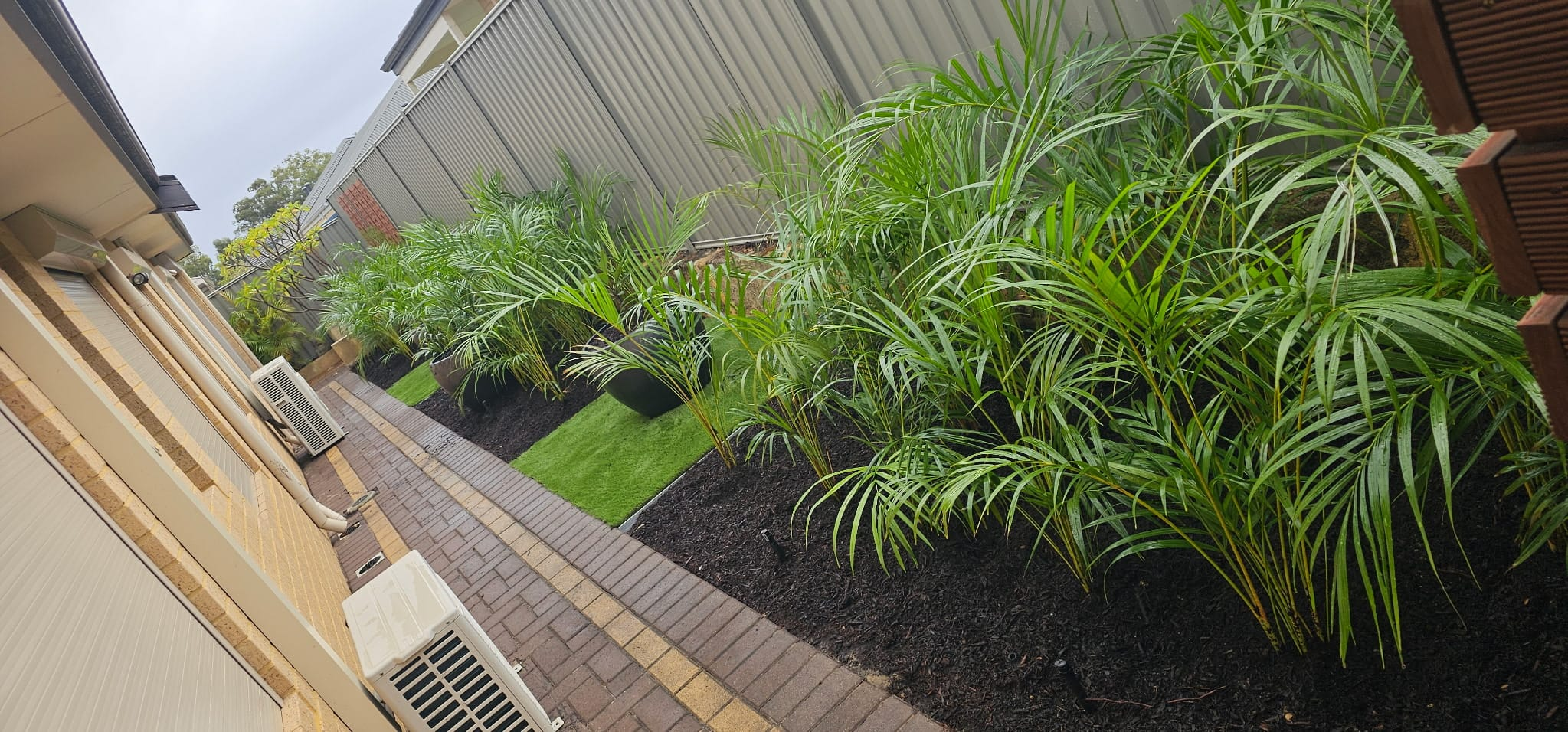 Landscaped side path with palms, black mulch, turf and brick paving